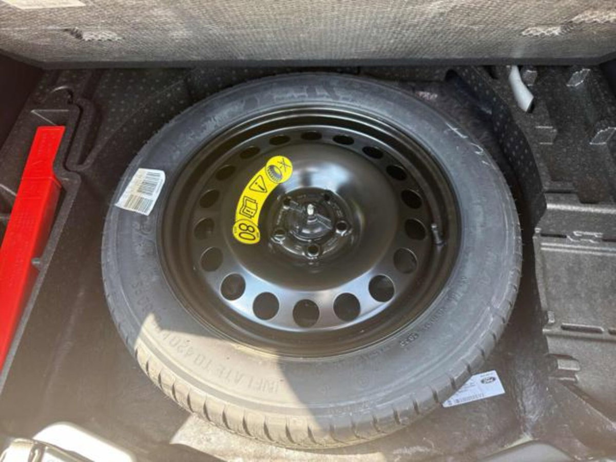Ford Kuga 2.0 EcoBlue 120 CV aut. 2WD ST-Line X (16)