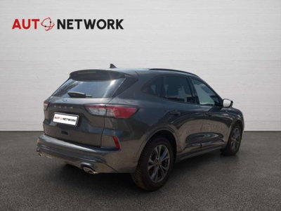 Ford Kuga 2.0 EcoBlue 120 CV aut. 2WD ST-Line X (4)