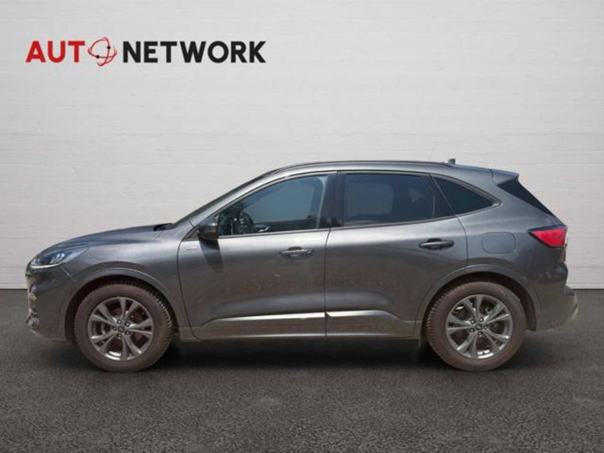 Ford Kuga 2.0 EcoBlue 120 CV aut. 2WD ST-Line X (7)