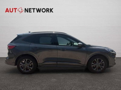 Ford Kuga 2.0 EcoBlue 120 CV aut. 2WD ST-Line X (8)