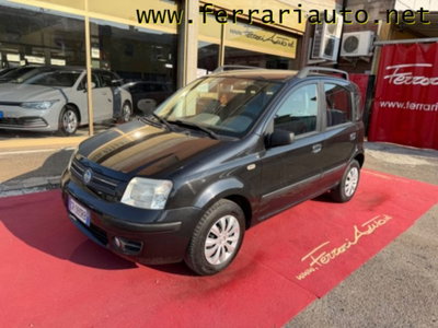 Fiat Panda 1.2 Dynamic usata