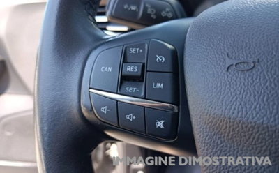 Ford Focus 1.5 EcoBlue 120 CV 5p. ST-Line (13)