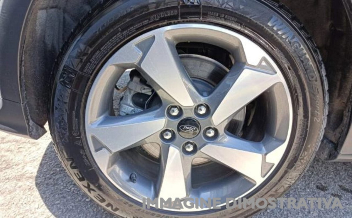 Ford Focus 1.5 EcoBlue 120 CV 5p. ST-Line (8)
