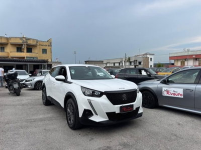 Peugeot 2008 BlueHDi 100 S&S Allure (4)