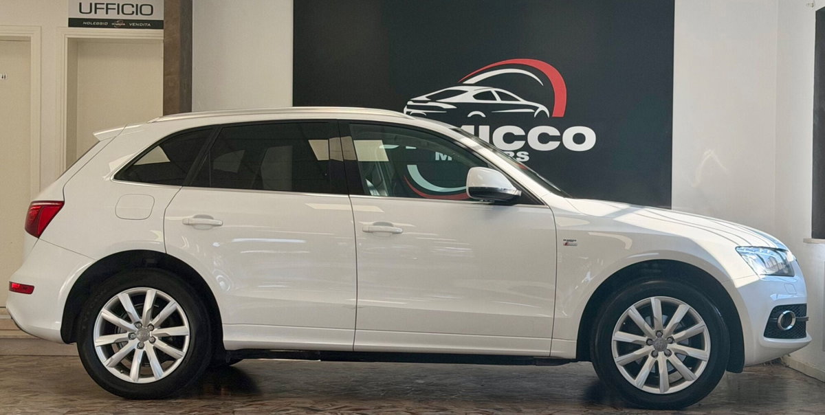 Audi Q5 2.0 TDI 170 CV quattro S tronic (4)