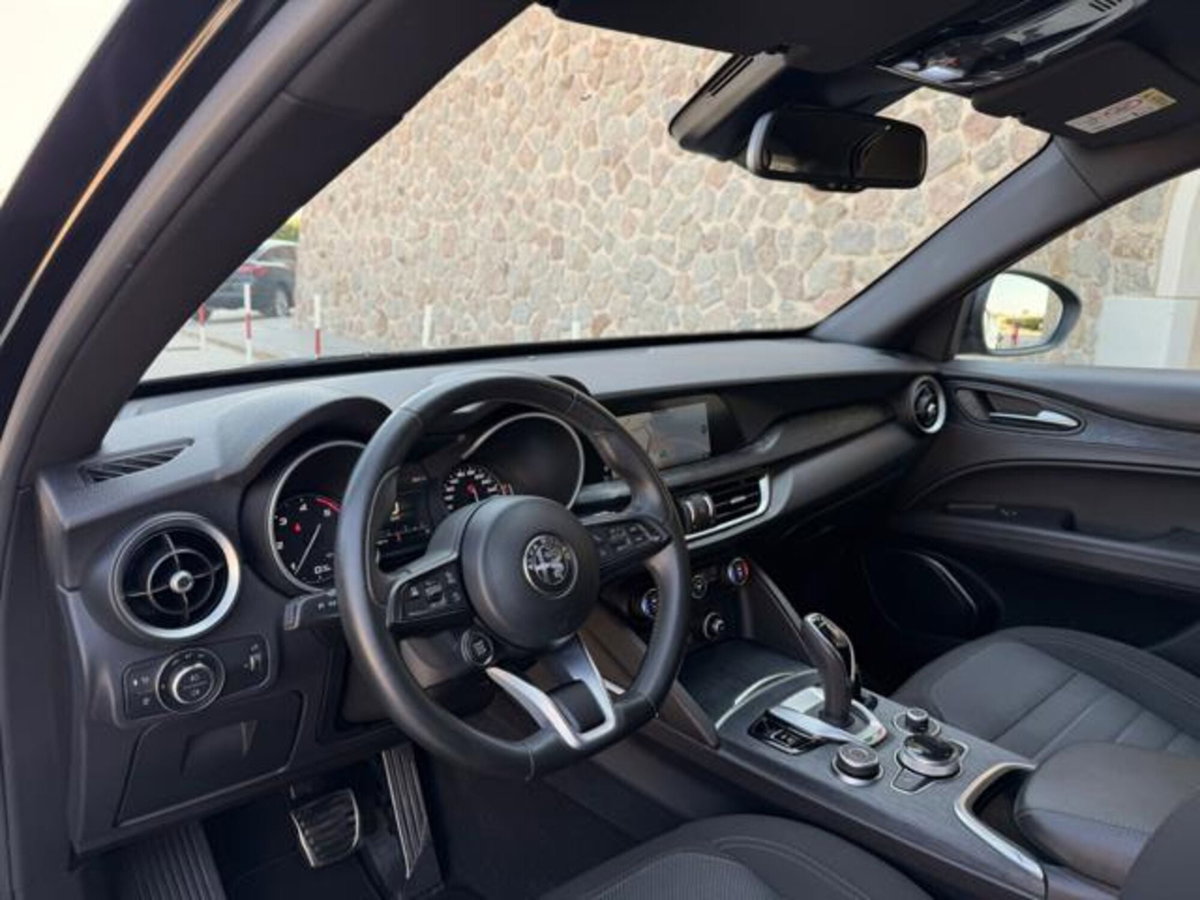 Alfa Romeo Stelvio Stelvio 2.2 Turbodiesel 190 CV AT8 Q4 Super Business (9)