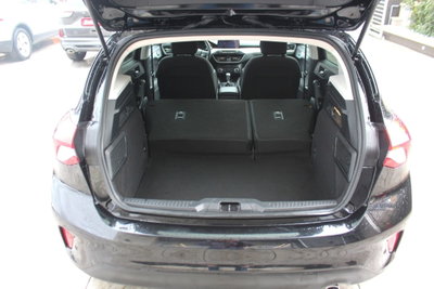 Ford Focus 1.5 EcoBlue 120 CV 5p. Business (15)