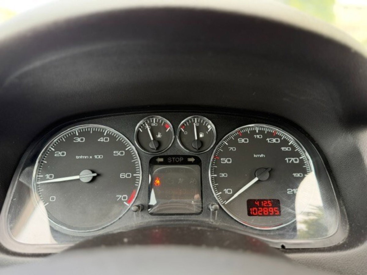Peugeot 307 16V 5p. D-Sign (16)