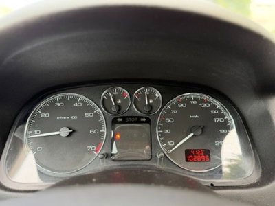 Peugeot 307 16V 5p. D-Sign (16)