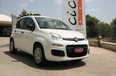 Fiat Panda 1.2 Easy usata