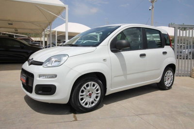 Fiat Panda 1.2 Easy (3)