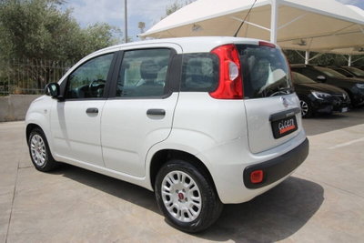 Fiat Panda 1.2 Easy (4)