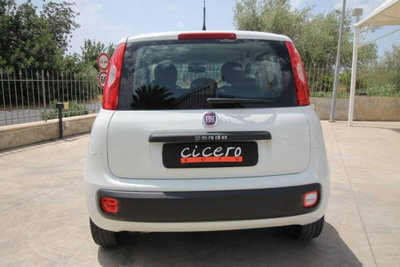 Fiat Panda 1.2 Easy (5)