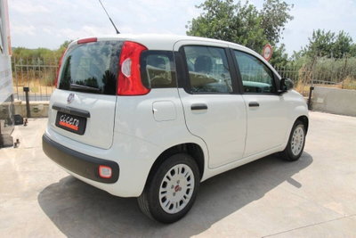 Fiat Panda 1.2 Easy (6)