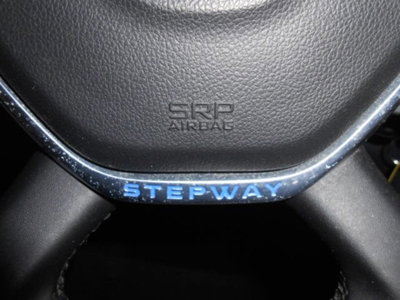 Dacia Sandero Stepway 0.9 TCe 90 CV Comfort (16)