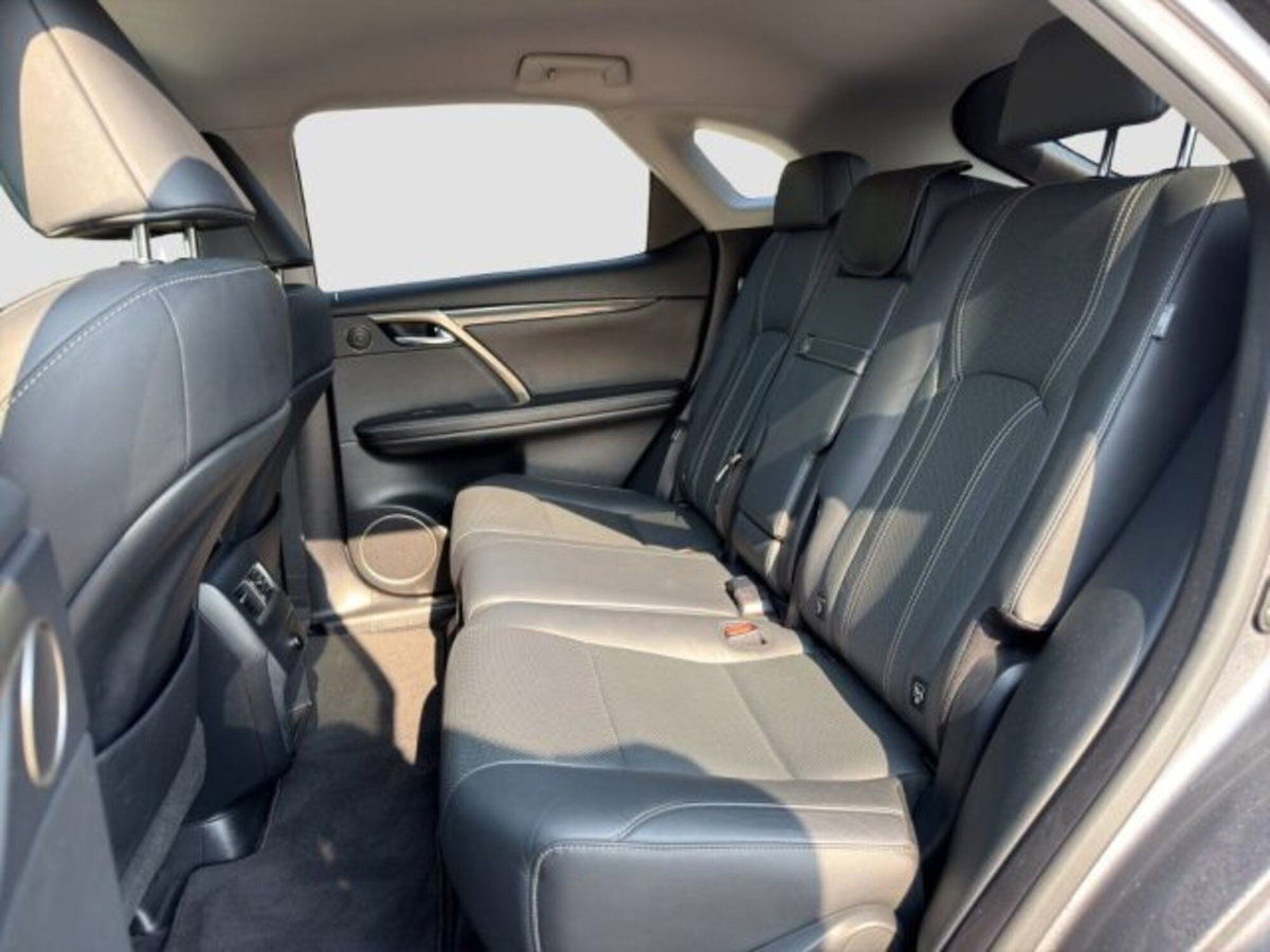 Lexus RX Hybrid Luxury (11)