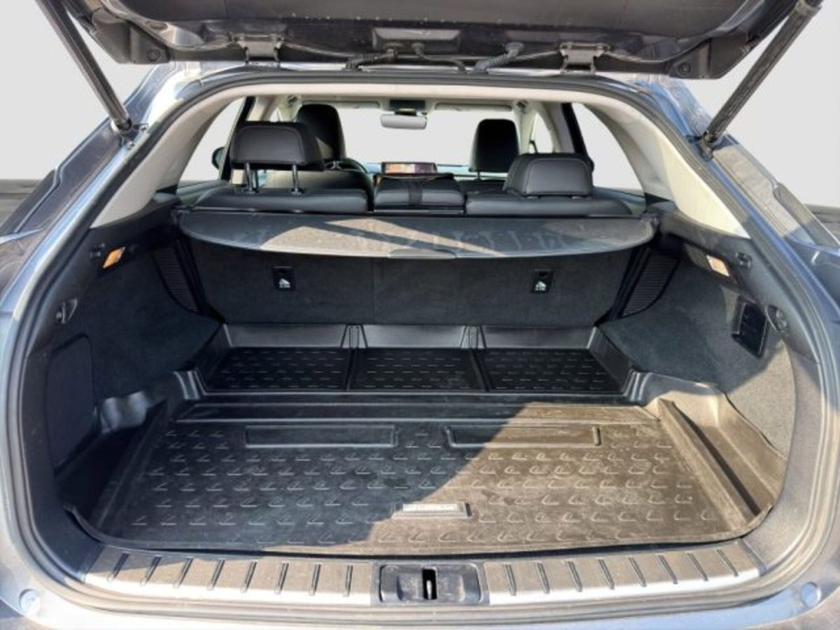Lexus RX Hybrid Luxury (14)