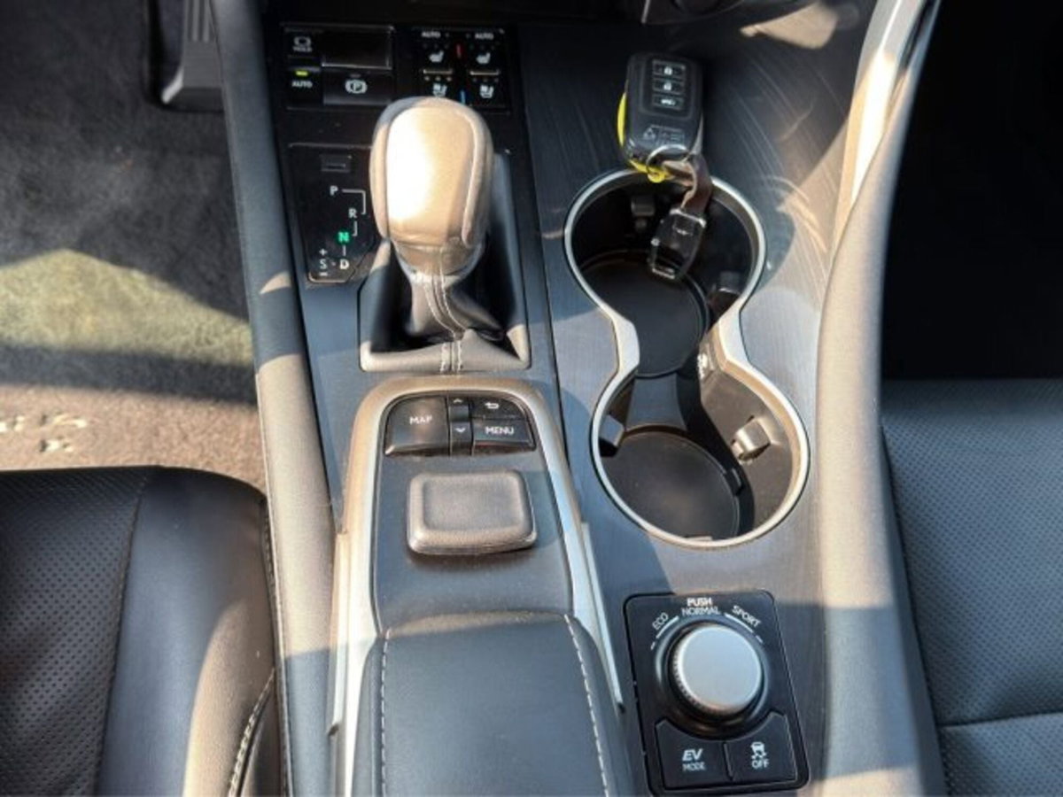 Lexus RX Hybrid Luxury (19)