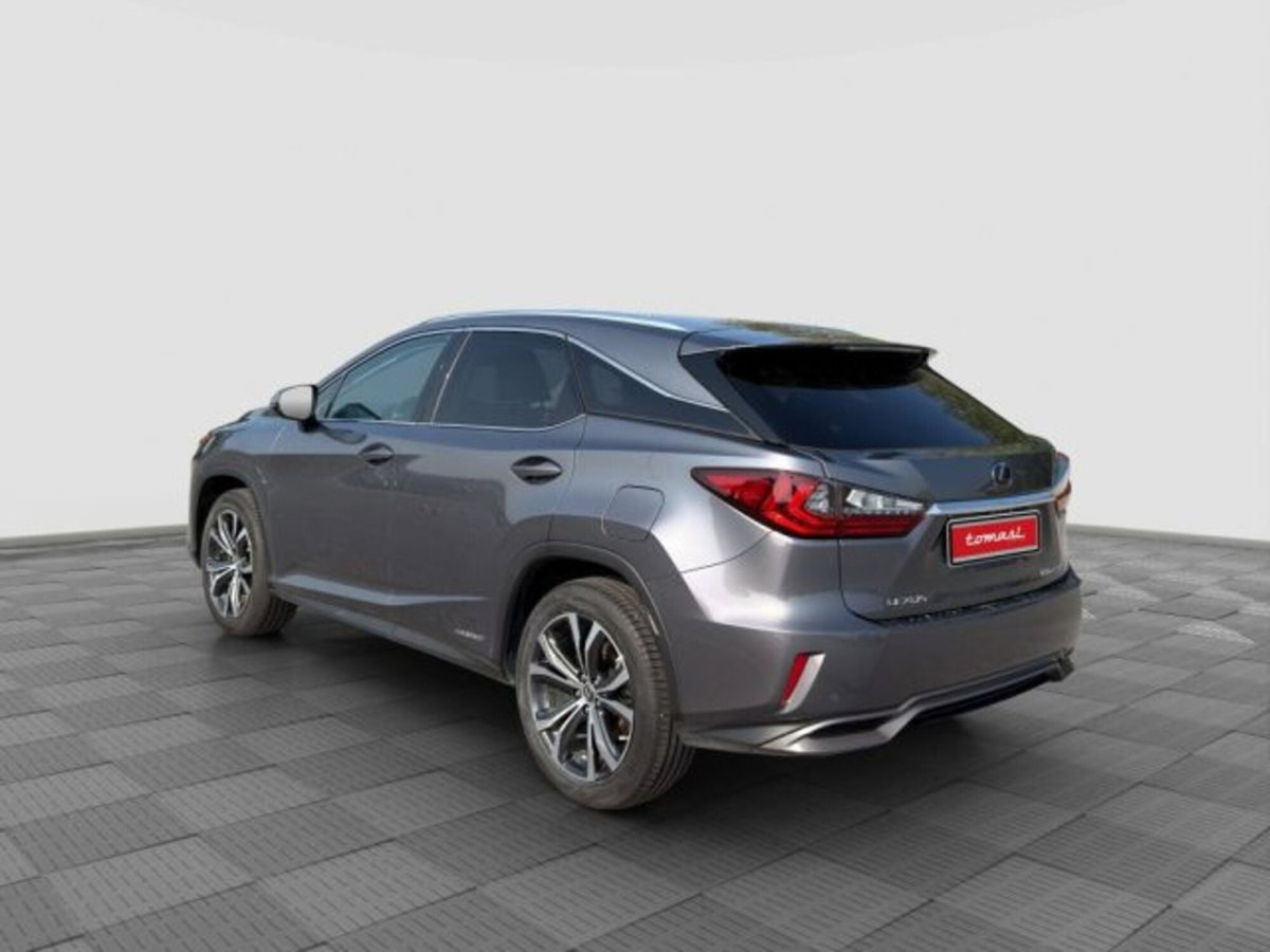 Lexus RX Hybrid Luxury (3)