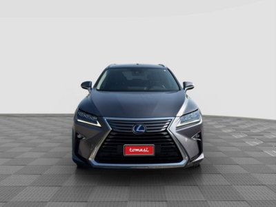 Lexus RX Hybrid Luxury (8)