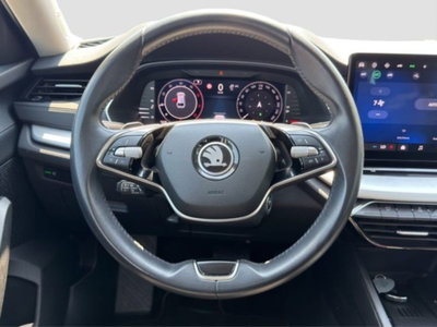 Skoda Octavia Station Wagon 2.0 tdi Executive 150cv dsg (13)