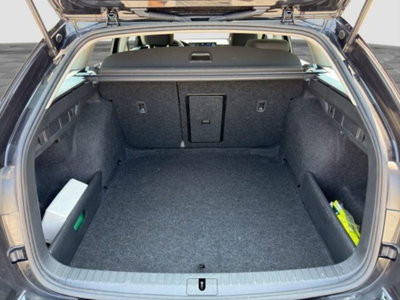 Skoda Octavia Station Wagon 2.0 tdi Executive 150cv dsg (14)