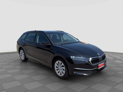 Skoda Octavia Station Wagon 2.0 tdi Executive 150cv dsg (7)