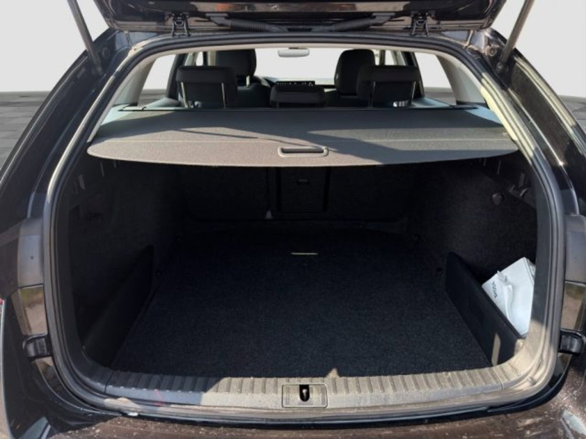 Skoda Octavia Station Wagon 2.0 tdi Executive 150cv dsg (14)