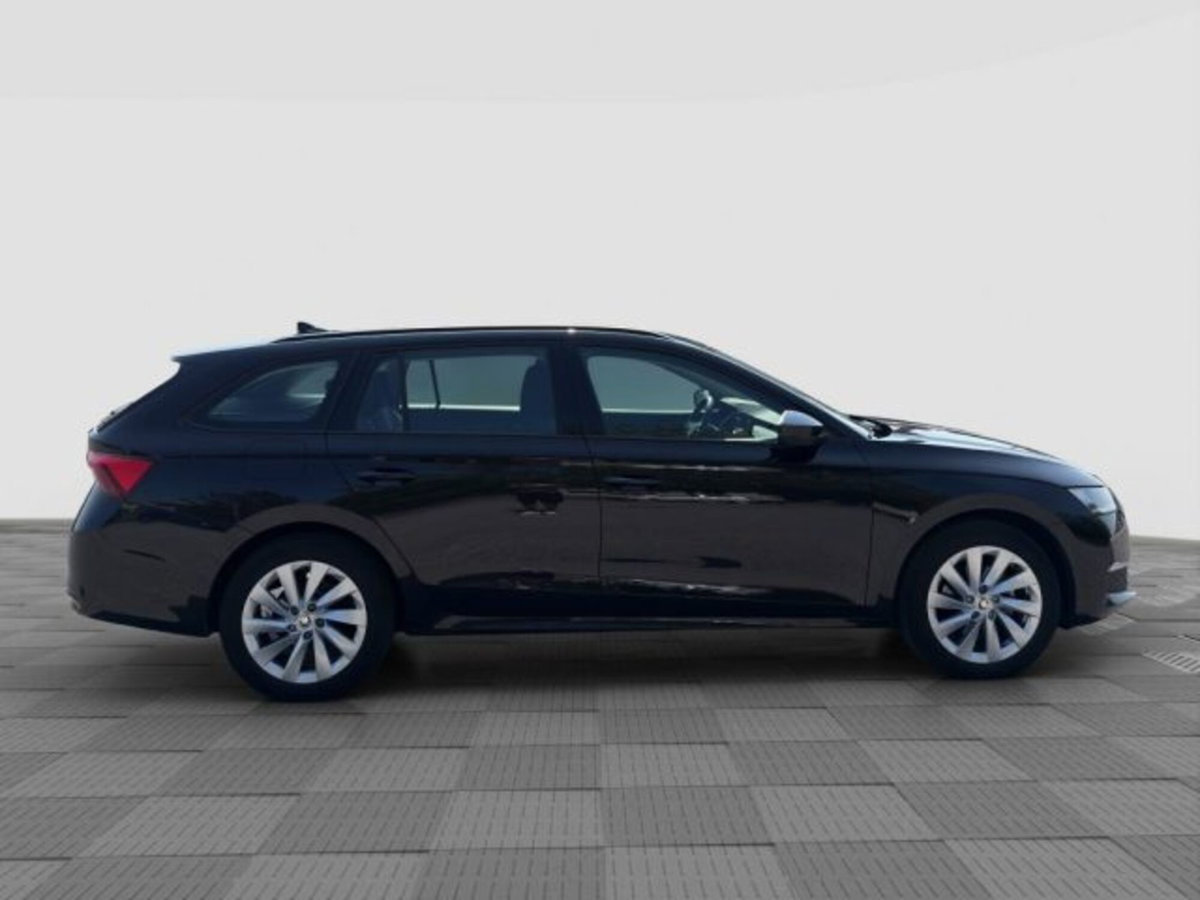 Skoda Octavia Station Wagon 2.0 tdi Executive 150cv dsg (6)