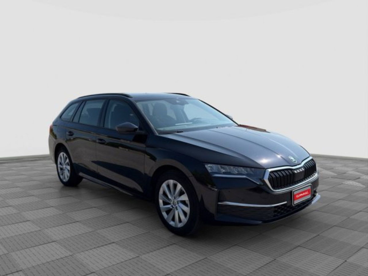 Skoda Octavia Station Wagon 2.0 tdi Executive 150cv dsg (7)