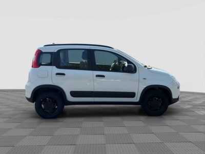 Fiat Panda 0.9 TwinAir Turbo S&S 4x4 Wild (6)