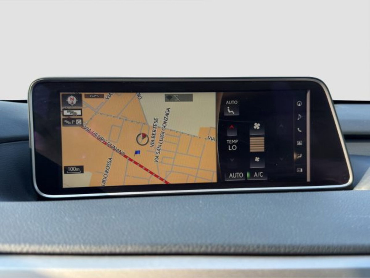 Lexus RX Hybrid Luxury (17)
