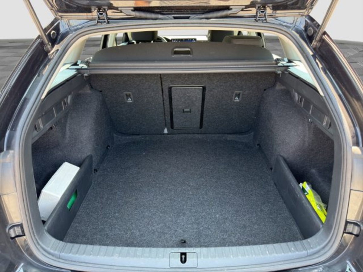 Skoda Octavia Station Wagon 2.0 tdi Executive 150cv dsg (14)