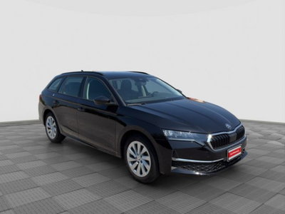 Skoda Octavia Station Wagon 2.0 tdi Executive 150cv dsg (7)