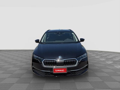 Skoda Octavia Station Wagon 2.0 tdi Executive 150cv dsg (8)