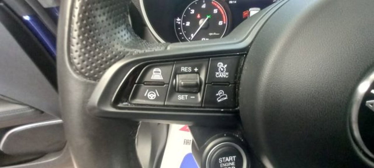 Alfa Romeo Stelvio Stelvio 2.2 Turbodiesel 190 CV AT8 Q4 Business (14)