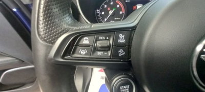 Alfa Romeo Stelvio Stelvio 2.2 Turbodiesel 190 CV AT8 Q4 Business (14)