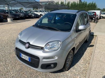 Fiat Panda 1.2 Easy usata