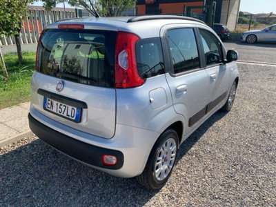 Fiat Panda 1.2 Easy (5)