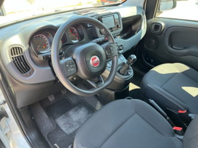 Fiat Panda 1.0 firefly hybrid s&s 70cv 5p.ti (10)
