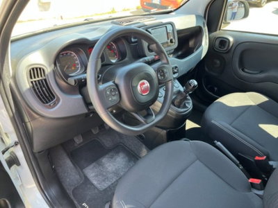 Fiat Panda 1.0 firefly hybrid s&s 70cv 5p.ti (12)