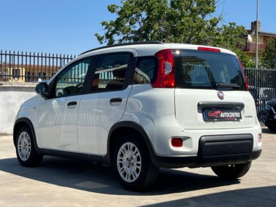 Fiat Panda 1.0 firefly hybrid s&s 70cv 5p.ti (5)