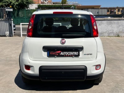 Fiat Panda 1.0 firefly hybrid s&s 70cv 5p.ti (6)