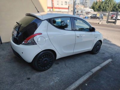Lancia Ypsilon 1.2 69 CV 5 porte Elefantino (5)