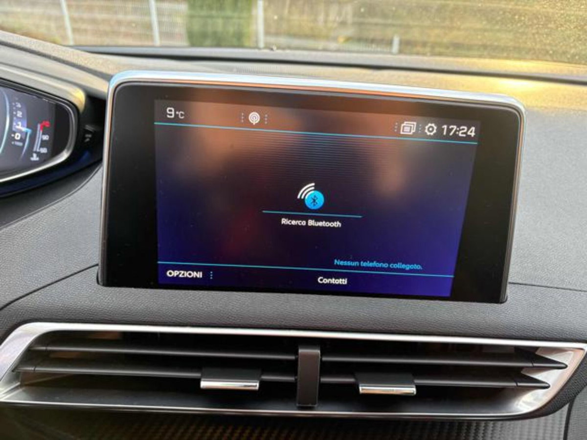 Peugeot 3008 BlueHDi 120 S&S Business (13)