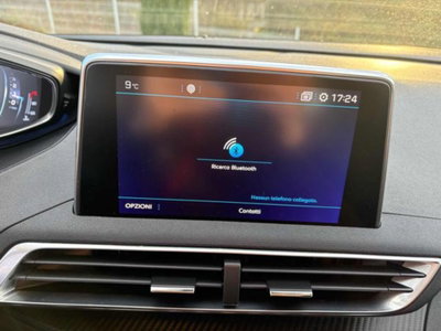 Peugeot 3008 BlueHDi 120 S&S Business (13)