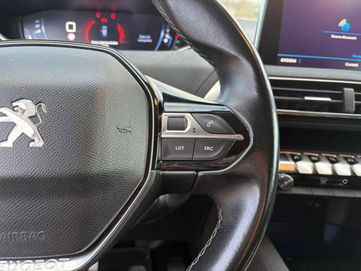 Peugeot 3008 BlueHDi 120 S&S Business (14)