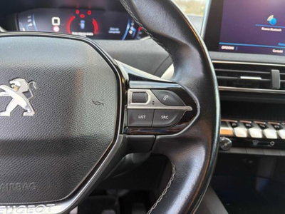 Peugeot 3008 BlueHDi 120 S&S Business (14)