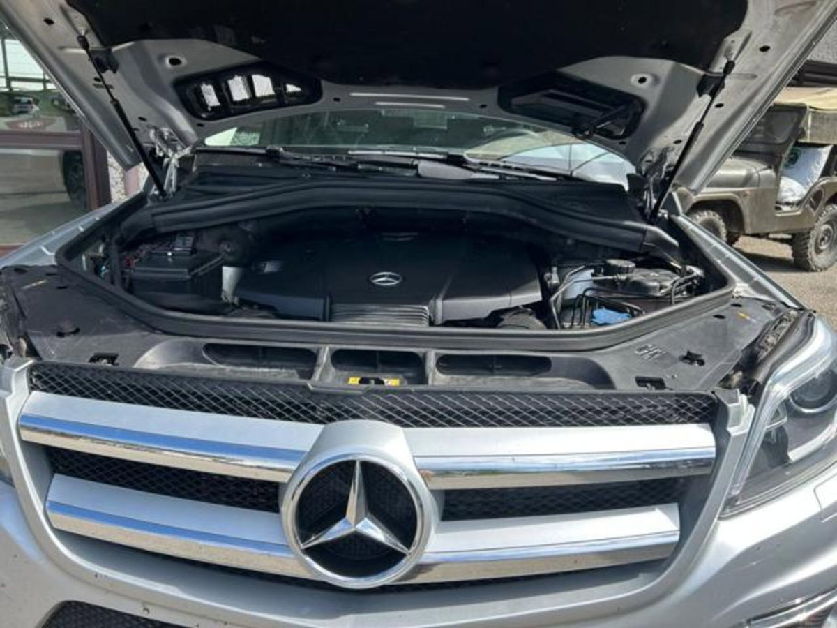 Mercedes-Benz GL 350 BlueTEC 4matic Premium (14)