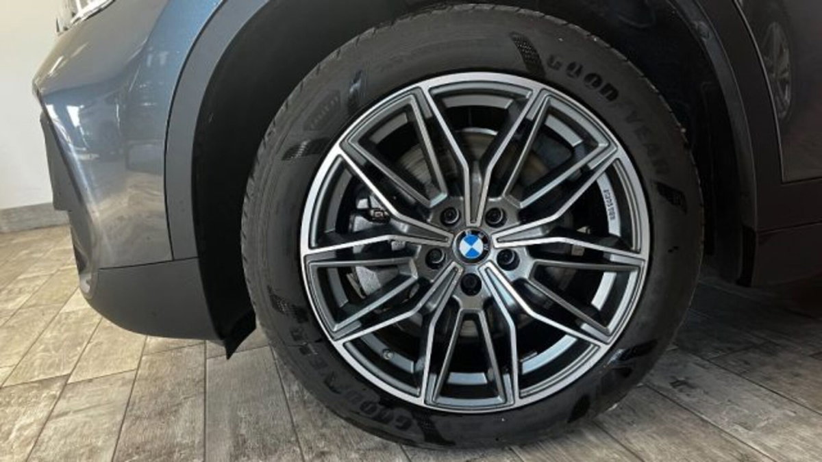 BMW X1 xDrive20d Business Advantage (3)